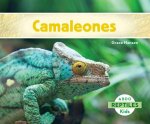 Camaleones = Chameleons