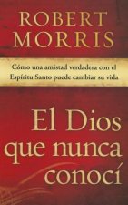 El Dios Que Nunca Conoci: Como Una Amistad Verdadera Con El Espiritu Santo Puede Cambiar Su Vida