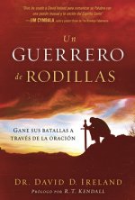 UN GUERRERO DE RODILLAS