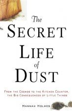 Secret Life of Dust
