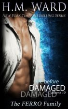 Life Before Damaged, Vol. 10 (the Ferro Family)