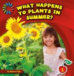 What Happens to Plants in Summer?
