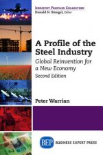 Profile of the Steel Industry