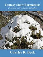 Fantasy Snow Formations: Poetry in a New England Garden