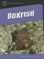 Boxfish