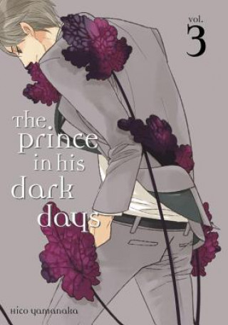 Prince In His Dark Days 3