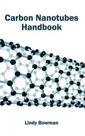 Carbon Nanotubes Handbook