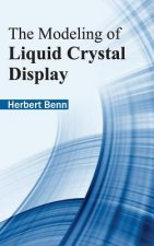 Modeling of Liquid Crystal Display