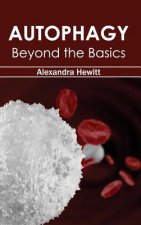 Autophagy: Beyond the Basics