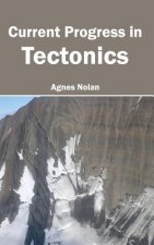 Current Progress in Tectonics