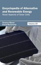 Encyclopedia of Alternative and Renewable Energy: Volume 29 (Novel Aspects of Solar Cells)