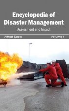 Encyclopedia of Disaster Management: Volume I (Assessment and Impact)