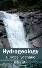 Hydrogeology: A Global Scenario