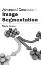 Advanced Concepts in Image Segmentation