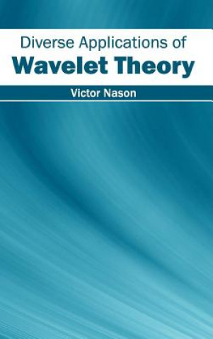 Diverse Applications of Wavelet Theory