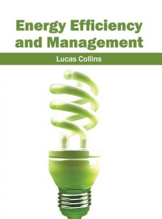 Energy Efficiency and Management