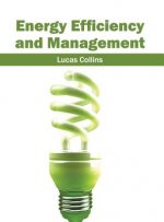 Energy Efficiency and Management