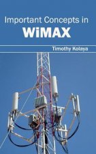 Important Concepts in Wimax
