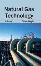 Natural Gas Technology: Volume I