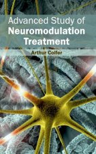 Advanced Study of Neuromodulation Treatment