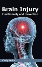 Brain Injury: Functionality and Prevention