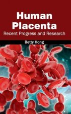 Human Placenta: Recent Progress and Research