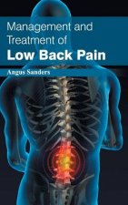 Management and Treatment of Low Back Pain