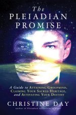 Pleiadian Promise