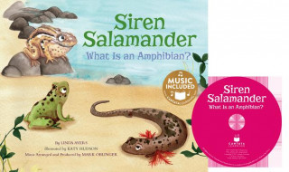 Siren Salamander: What Is an Amphibian?