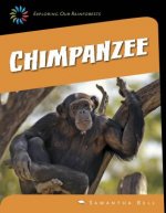 Chimpanzee