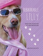 Rebarkable Lilly: From the Doghouse to the Penthouse