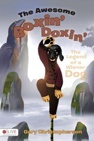 The Awesome Boxin' Doxin'