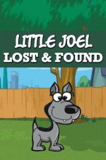 Little Joel Lost & Found