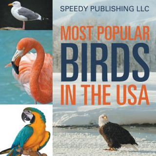 Most Popular Birds In The USA