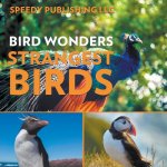 Bird Wonders - Strangest Birds