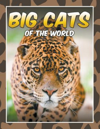 Big Cats of the World