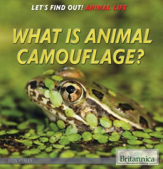 What Is Animal Camouflage?