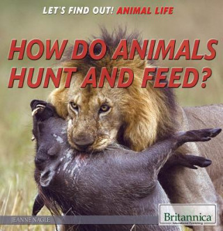 How Do Animals Hunt and Feed?