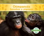 Chimpances Bonobos (Bonobos)