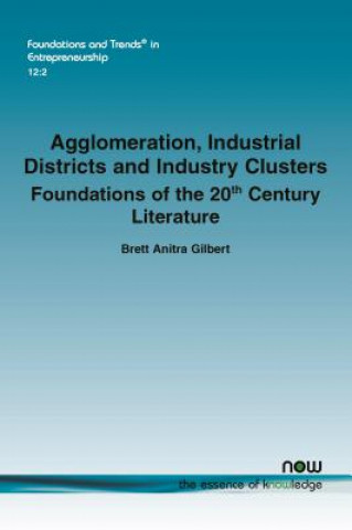 Agglomeration, Industrial Districts and Industry Clusters