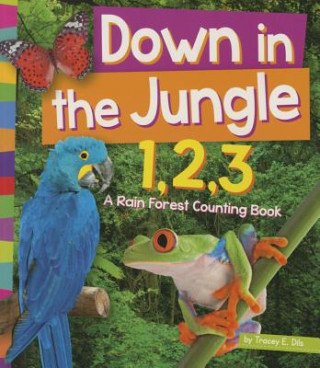 Down in the Jungle 1,2,3: A Rain Forest Counting Book