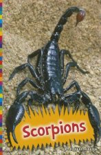 Scorpions