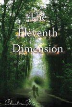The Eleventh Dimension
