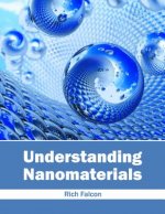 Understanding Nanomaterials