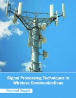 Signal Processing Techniques in Wireless Communications