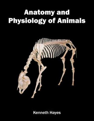 Anatomy and Physiology of Animals