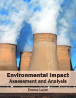 Environmental Impact: Assessment and Analysis