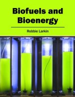 Biofuels and Bioenergy