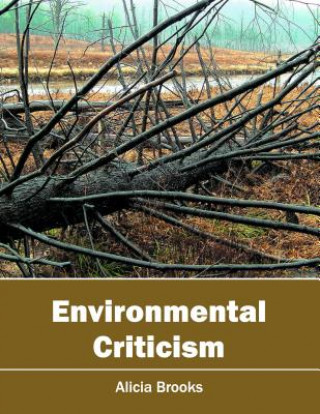 Environmental Criticism
