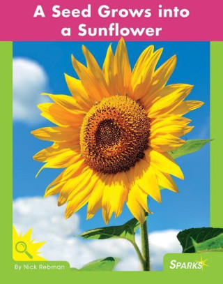 A Seed Grows Into a Sunflower